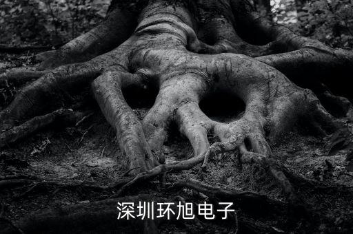 環(huán)旭電子經(jīng)營什么，上海環(huán)旭電子有限公司在什么地方