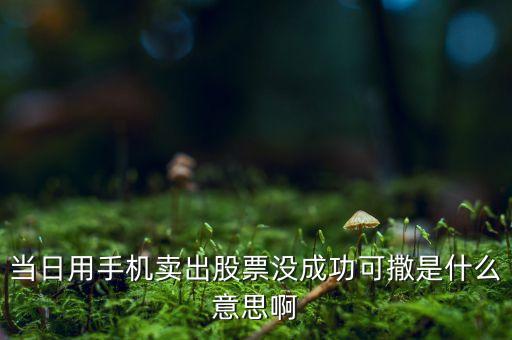 當(dāng)日用手機(jī)賣(mài)出股票沒(méi)成功可撒是什么意思啊
