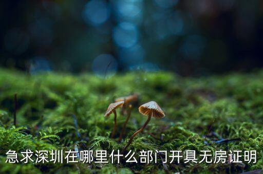 坪山國土局在什么地方，深圳哪座山比較有趣