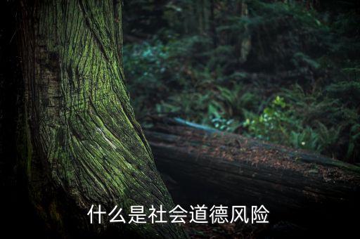 什么是社會(huì)風(fēng)險(xiǎn)，什么是社會(huì)道德風(fēng)險(xiǎn)