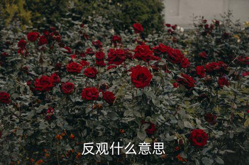 反觀當(dāng)下是什么意思，求英語(yǔ)大神翻譯反觀當(dāng)下