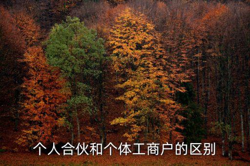 個(gè)人合伙領(lǐng)取什么經(jīng)營執(zhí)照，個(gè)人合伙辦理個(gè)體工商戶執(zhí)照