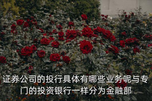 國內(nèi)券商投行部在做什么，國有四大行的投行部在做什么