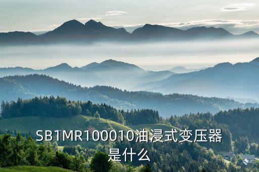 油浸式變壓器什么是酚推，SB1MR100010油浸式變壓器是什么