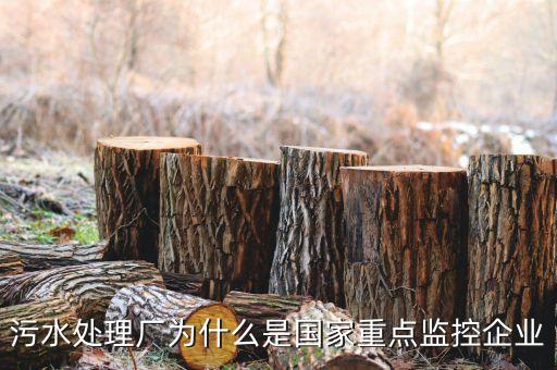 重點監(jiān)控企業(yè)為什么，稅務(wù)局來電要我們公處理重點監(jiān)控是什么意思