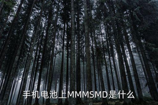 什么是電力儲能，手機電池上MMMSMD是什么