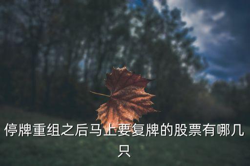002306什么時候復(fù)牌，停牌重組之后馬上要復(fù)牌的股票有哪幾只