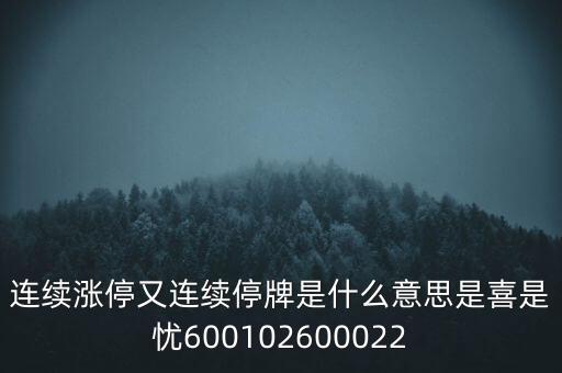 600139連續(xù)停牌是什么意思，股票連續(xù)停牌是什么意思