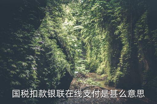 銀聯(lián)劃扣跟連連支付有什么區(qū)別，國(guó)稅扣款銀聯(lián)在線支付是甚么意思