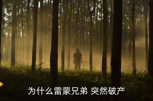 雷曼兄弟為什么破產(chǎn)，雷曼兄弟是因?yàn)槭裁炊飘a(chǎn)的
