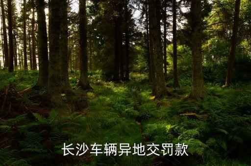 銀聯(lián)便民支付點(diǎn)是什么，我想辦個(gè)銀聯(lián)便民支付點(diǎn)怎么辦理
