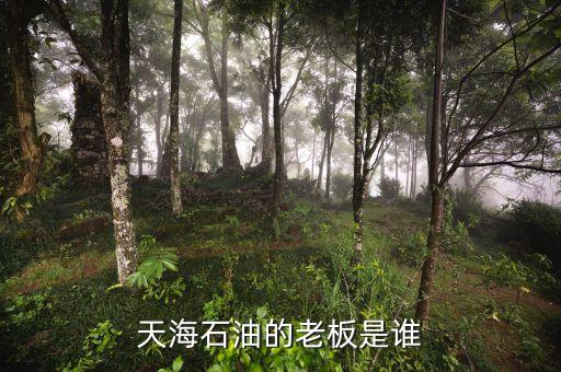 天海收購(gòu)英邁什么時(shí)間，信用卡能不能申請(qǐng)延遲2天海款