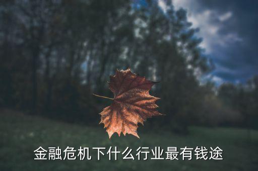 資本國(guó)家經(jīng)濟(jì)危機(jī)后什么行業(yè)掙錢，金融危機(jī)下什么行業(yè)最有錢途