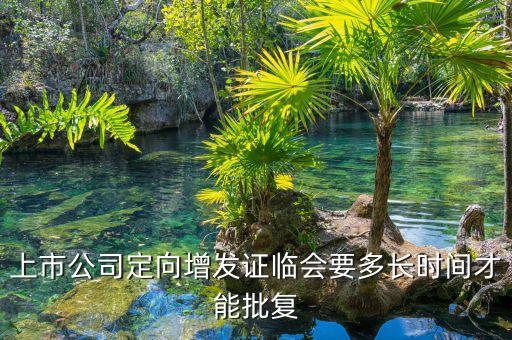 中珠控股定向增發(fā)什么時(shí)候批下來(lái)，上市公司定向增發(fā)證臨會(huì)要多長(zhǎng)時(shí)間才能批復(fù)