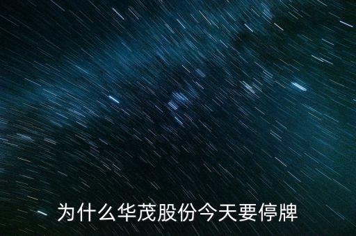 600366今日為什么停牌，600636為什么會停牌