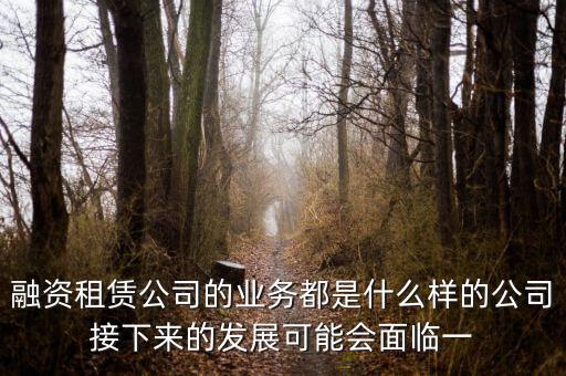 太平石化金融租賃公司是做什么的，有誰知道融資租賃公司主要是做什么的嗎