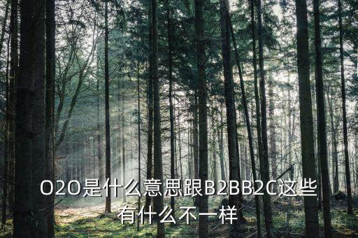 美菜網(wǎng)o2o是什么，O2O是什么意思跟B2BB2C這些有什么不一樣