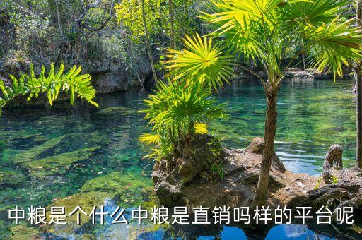 中糧明誠(chéng)是什么，你好請(qǐng)問你在中糧生化衡水有限公司應(yīng)聘成功了嗎這個(gè)公司是