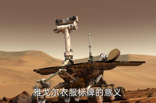 雅戈?duì)栘浱?hào)yx代表什么，雅戈?duì)栁鞣浱?hào)yl1045tn2129112中具體代表什么意思求解答