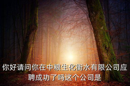 你好請問你在中糧生化衡水有限公司應(yīng)聘成功了嗎這個(gè)公司是