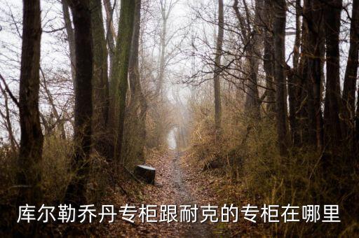 庫爾勒匯嘉有什么品牌，庫爾勒的匯嘉有沒有ZA化妝品專柜