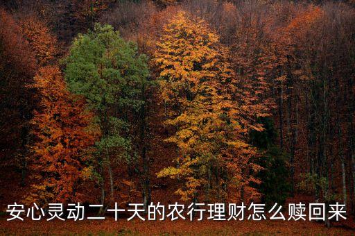 安心靈動20天什么時候可以贖回，安心靈動二十天的農(nóng)行理財怎么贖回來