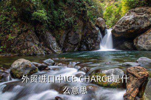 ice布油是什么，外貿(mào)進(jìn)口中ICE CHARGE是什么意思
