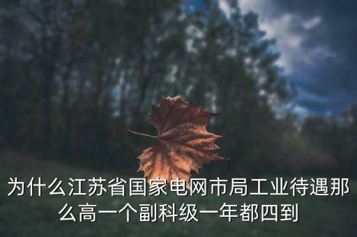 電力住房公積金為什么高，國(guó)家電網(wǎng)正式工公積金800元高嗎