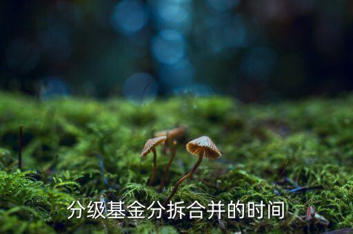 基金什么時(shí)候拆分，基金一般在什么時(shí)候拆分或分紅