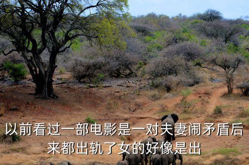 候永財(cái)執(zhí)導(dǎo)過(guò)什么電影，以前看過(guò)一部電影是一對(duì)夫妻鬧矛盾后來(lái)都出軌了女的好像是出