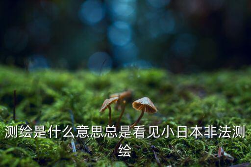 什么是非法測繪，測繪是什么意思總是看見小日本非法測繪