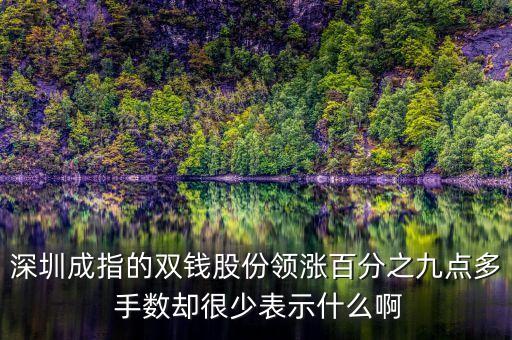 雙錢股份是什么公司，深圳成指的雙錢股份領(lǐng)漲百分之九點(diǎn)多 手?jǐn)?shù)卻很少表示什么啊