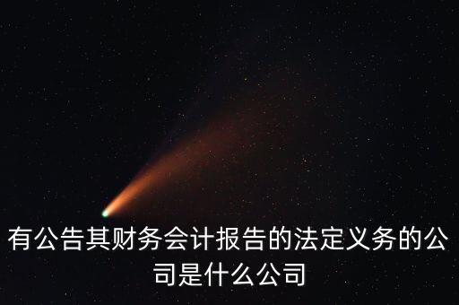 有公告其財(cái)務(wù)會計(jì)報(bào)告的法定義務(wù)的公司是什么公司