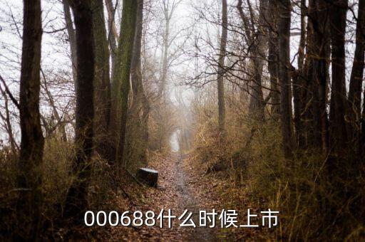 鼎盛財富什么時候上市，000688什么時候上市