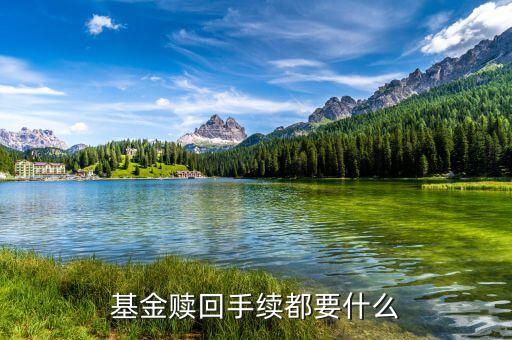 基金贖回需帶什么，基金贖回手續(xù)都要什么