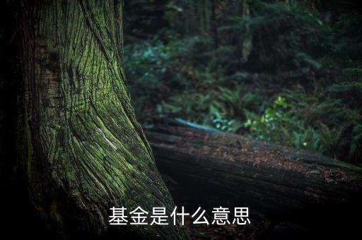 一張圖看懂什么是基金，什么是基金