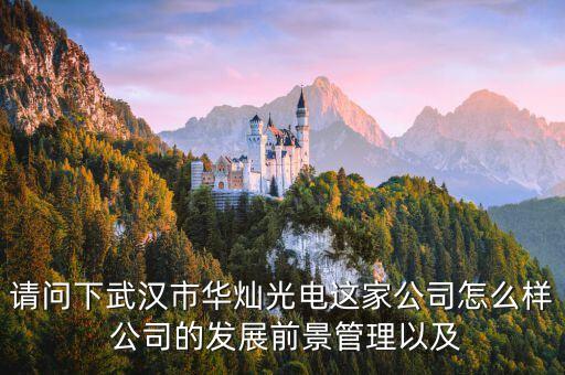 300323華燦光電是干什么的，蘇州華燦光電工作是流水線嗎