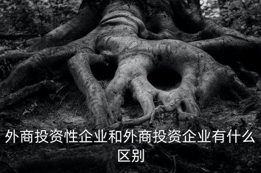 什么是投資性公司，外商投資性企業(yè)和外商投資企業(yè)有什么區(qū)別