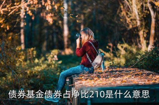 基金中的占凈比什么意思，債券基金債券占凈比210是什么意思