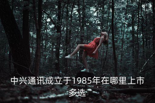 中興第一代手機(jī)什么時間上市，中興 Grand X IN 什么時候上市