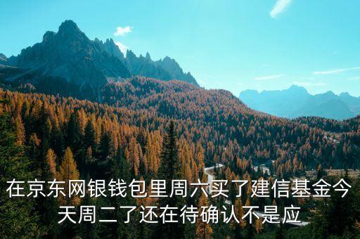 002378建信什么時(shí)候確認(rèn)份額，在京東網(wǎng)銀錢(qián)包里周六買(mǎi)了建信基金今天周二了還在待確認(rèn)不是應(yīng)