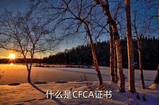 廣金所是什么，resign是什么意思