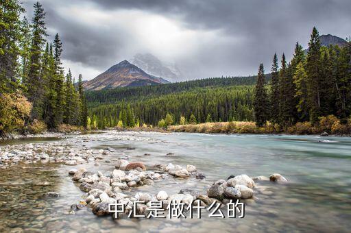 中匯事業(yè)發(fā)展部是什么，中匯集團 好像全國好多叫中匯的不是說集團公司名稱不能重復嗎