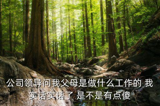 公司問父母是做什么的，公司領(lǐng)導(dǎo)問我父母是做什么工作的 我實(shí)話實(shí)話了 是不是有點(diǎn)傻