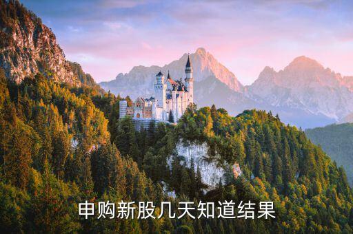 博敏申購什么時(shí)候出結(jié)果，申購新股幾天知道結(jié)果