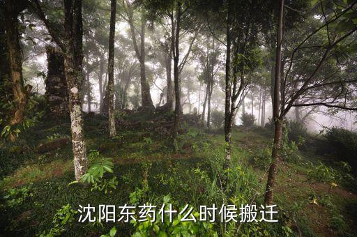 有沈陽東北制藥搬遷是什么時候嗎，沈陽東藥什么時候搬遷