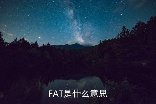 fatca指什么，F(xiàn)AT是什么意思