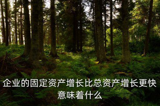固定資產(chǎn)增長(zhǎng)說(shuō)明什么，流動(dòng)資產(chǎn)固定資產(chǎn)長(zhǎng)期投資都增加從公司資產(chǎn)規(guī)模及變動(dòng)趨勢(shì)