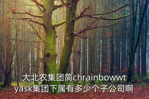 大北農集團簡chrainbowwtyask集團下屬有多少個子公司啊