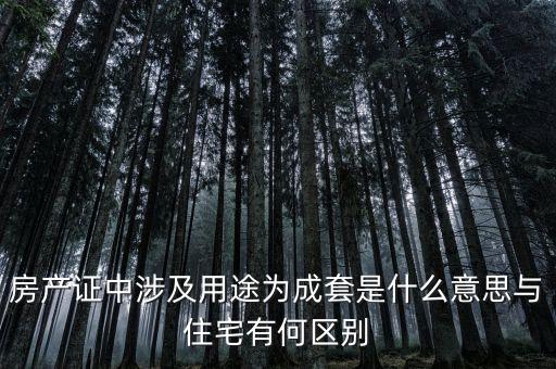 什么是成套項(xiàng)目，什么叫中型成套工程項(xiàng)目